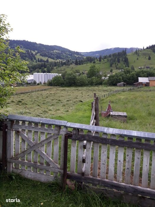 Casa P+1E + 3 ha Teren, Vatra Dornei, 125000 Euro