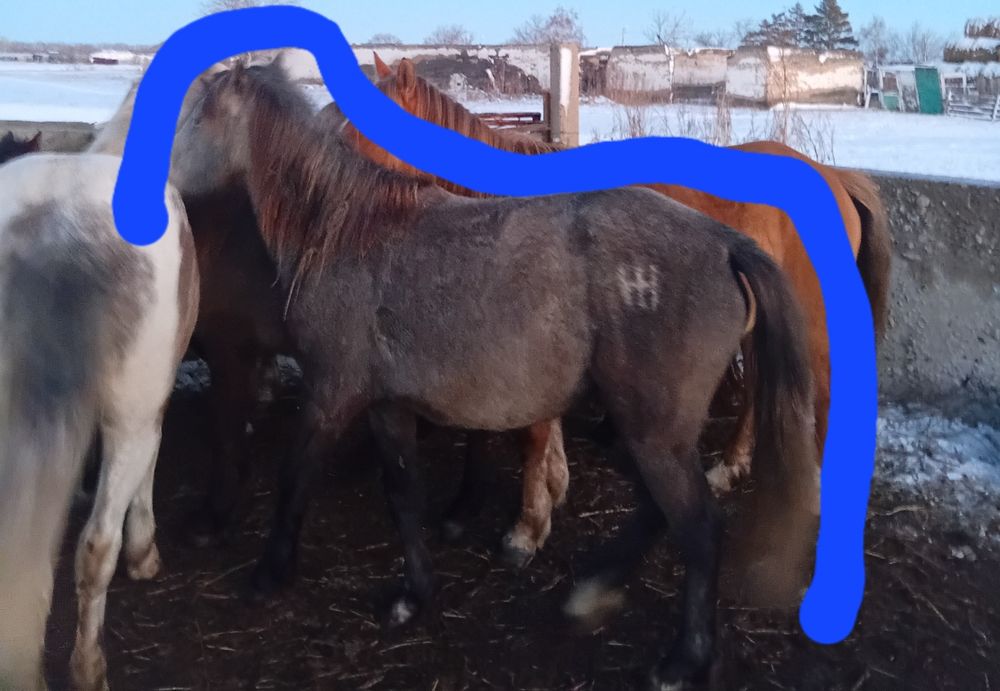 Продам байтал 2.9