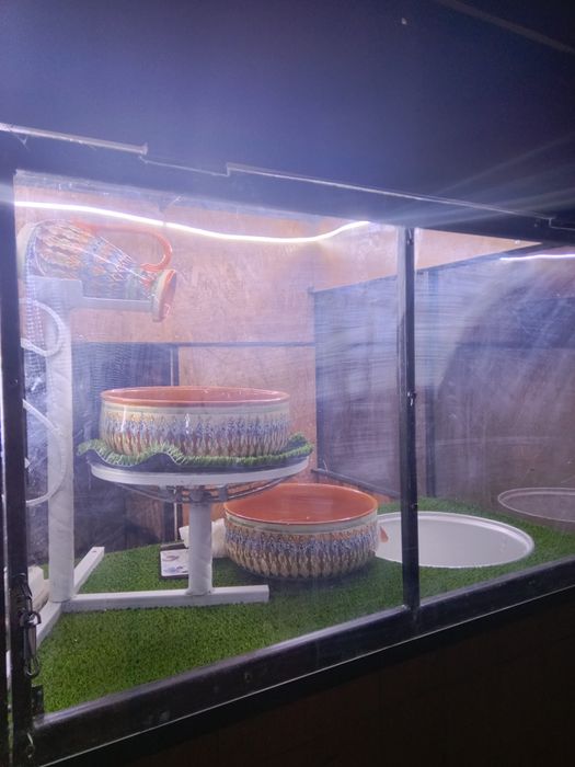 Айрон аппарат(Чарчара айрон) Тайер