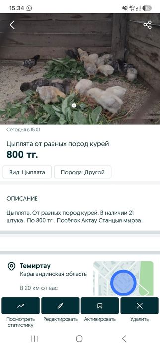 Продам циплят двухнедельных