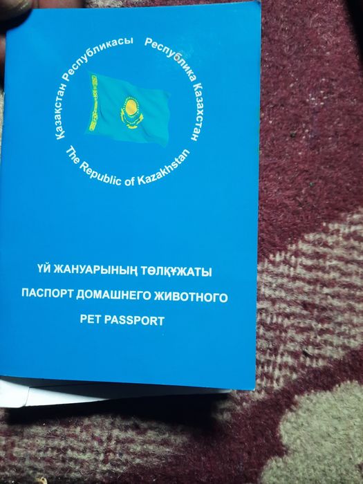 Продам  кобеля немецкой овчарки.