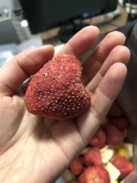 Сублимированные фрукты оптом