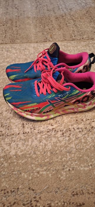 Basics Tri Noosa 13 noi