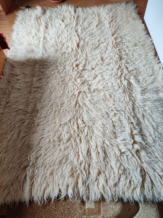 Родопско кичено халище