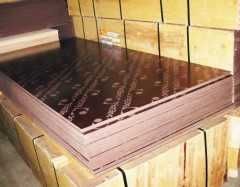 Фанера финская берёзовый