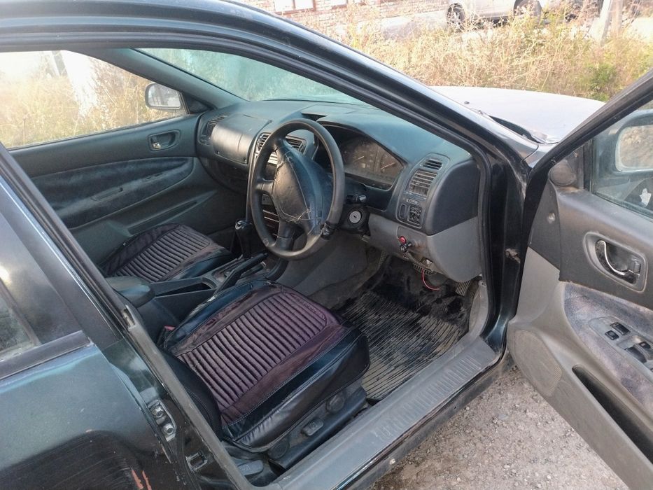 Полный разбор Галант акула