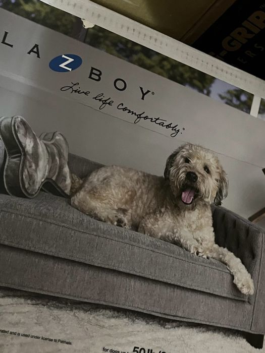 Fotoliu animale de companie