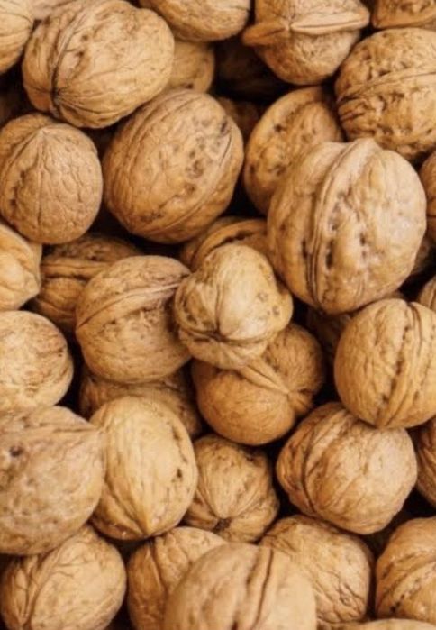 Nuci in coaja productie 2025