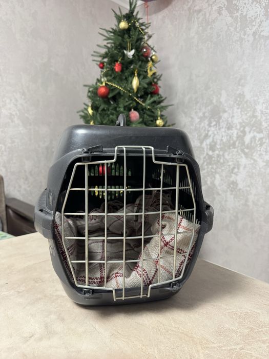 Переноска для маленького животного