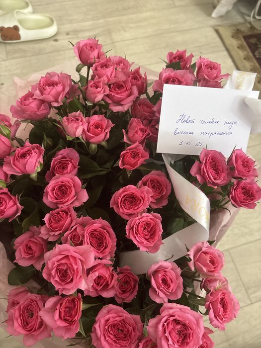 цветы кустовые розы