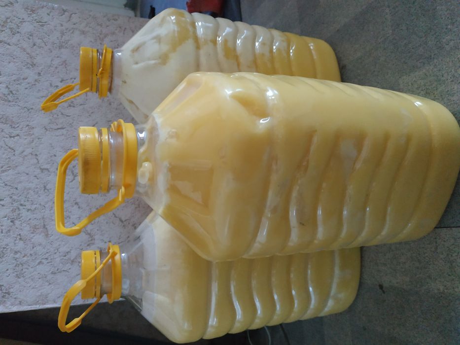 Мёд, восточно-казахстанский