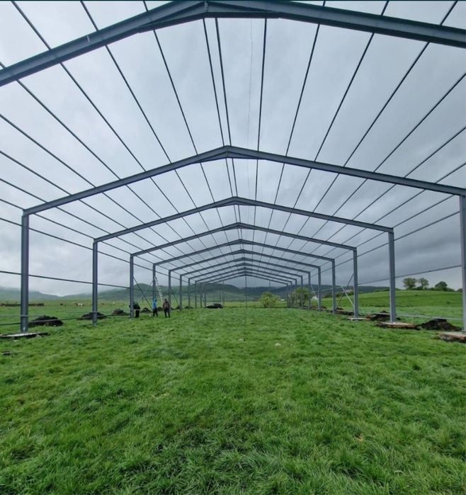 Vand hale saivane industriale structurii metalice