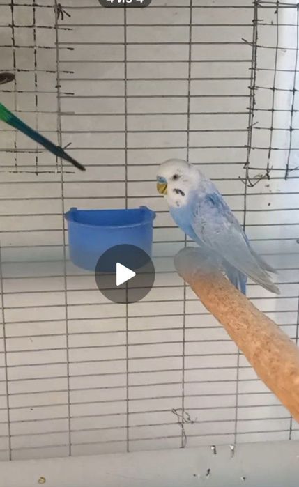 Sotiladi Pod chex para