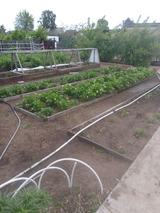 Продам дачу Сад Здоровье