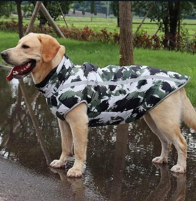 Haina caine talie mare , Produs Nou,Sigilat