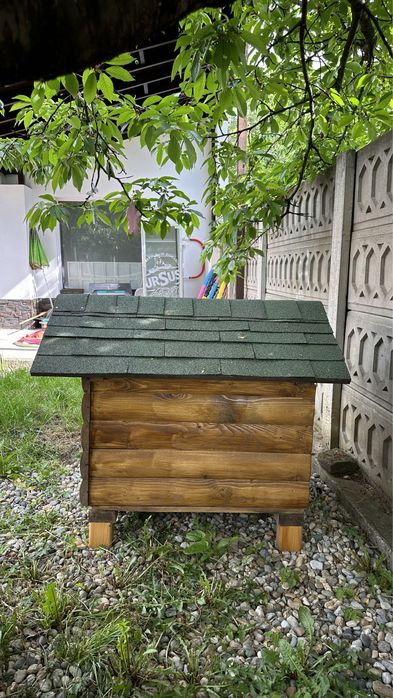 Cotet pentru caine, facut la comanda