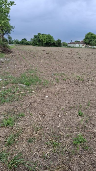 Casa bătrânească cu teren intravilan /Văradia de Mureș jud.Arad