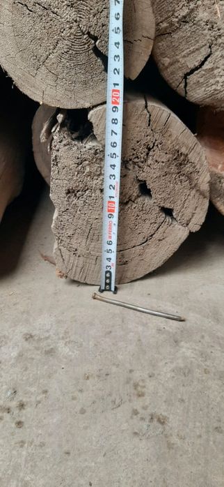 To'sin qarag'ay darahtidan