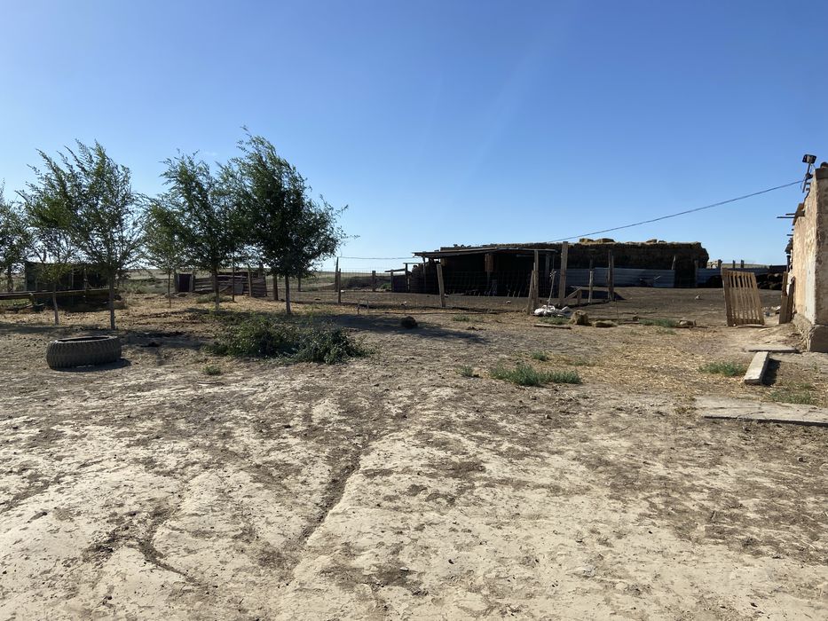 Фазенда қора сатылады