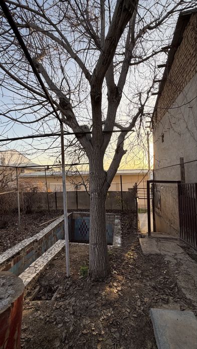 Продаю деревья, бревна, доски,