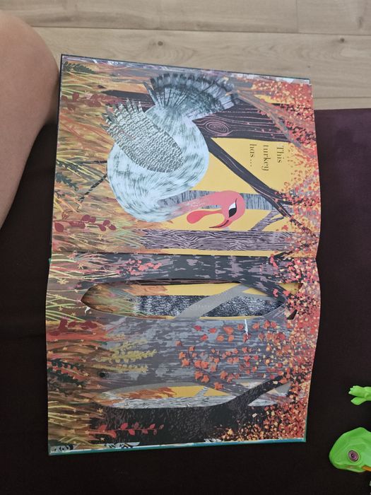 Carte cu clapete limba engleza