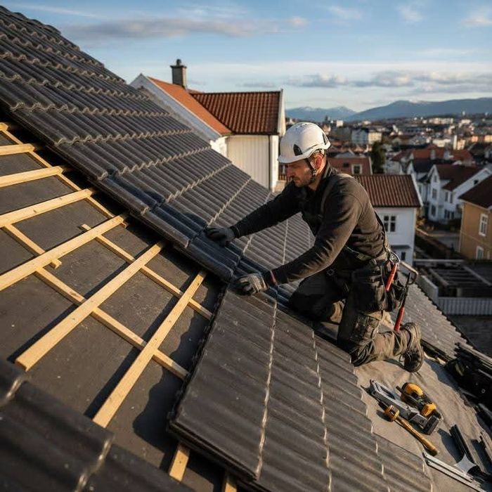 Reparații acoperișuri