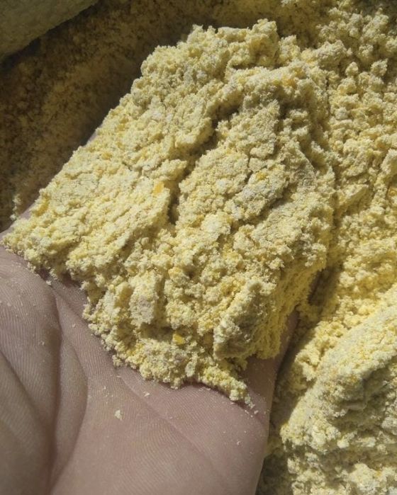 Корма для животных