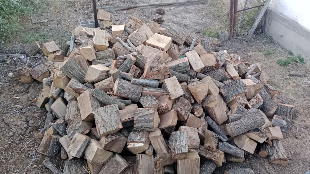 Продам дрова карагач сухой