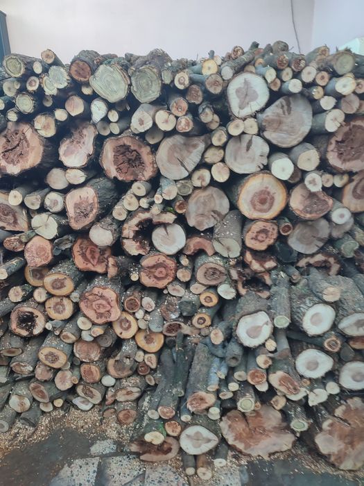 Lemne de foc taiate