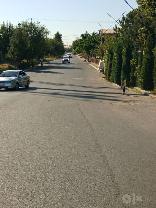 Olmazor rayon orintir zamona to'yhonasini orqasidi ko'chada