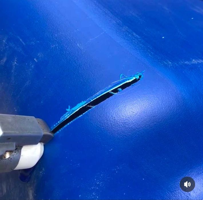 Сварка и ремонт изделий из пластмассы HDPE, PE, PP и ПВХ, PVDF