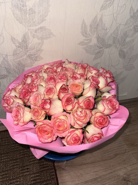 Розы 55 штук бело-розового цвета