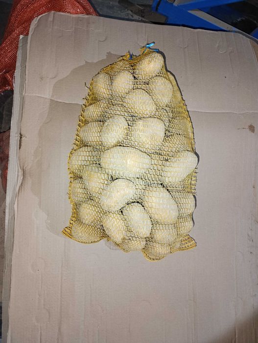 Cartofi din  Polonia