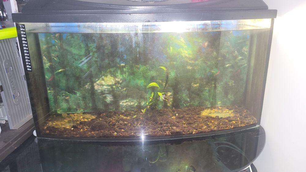Продам аквариум 80л.
