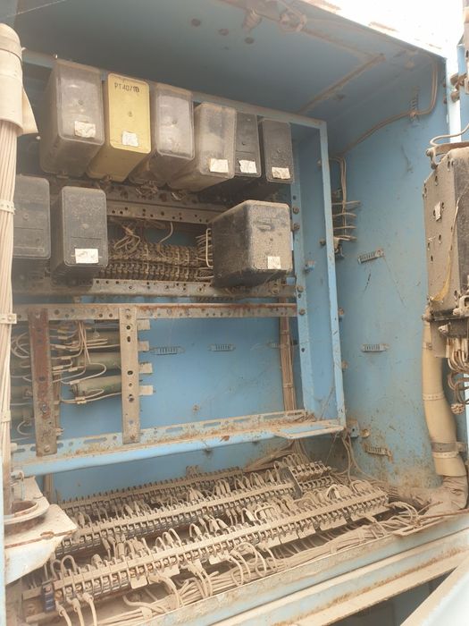 Маслины в/к 10 новый