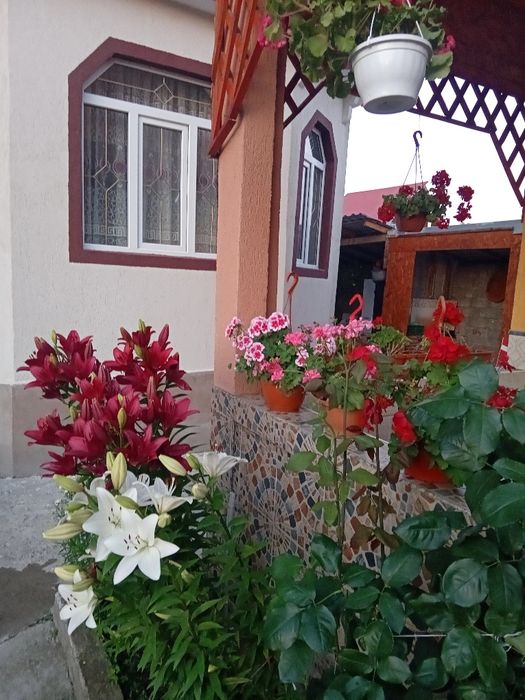 Scări metalice zincate