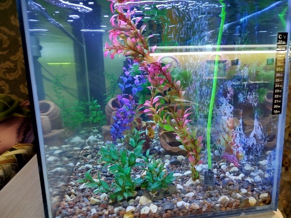 Аквариум на 100 литров