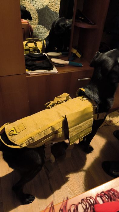 Тактическая шлейка для собак