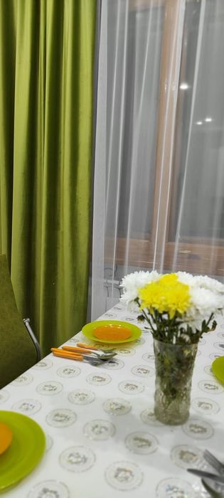 Новые Бархатные шторы