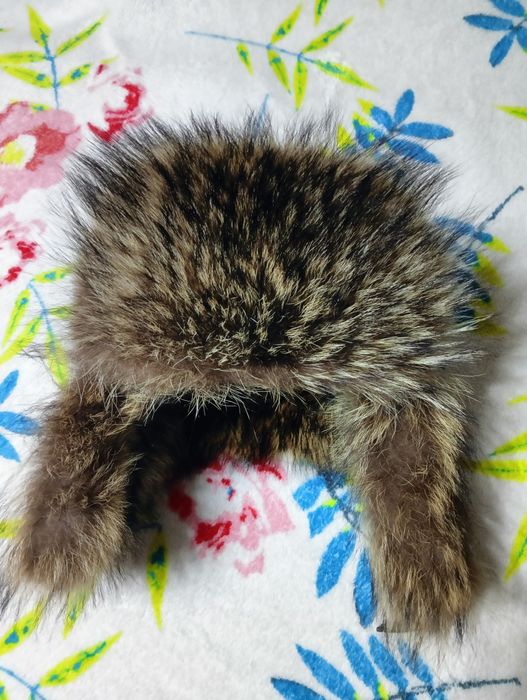 Продам  шапку !!!