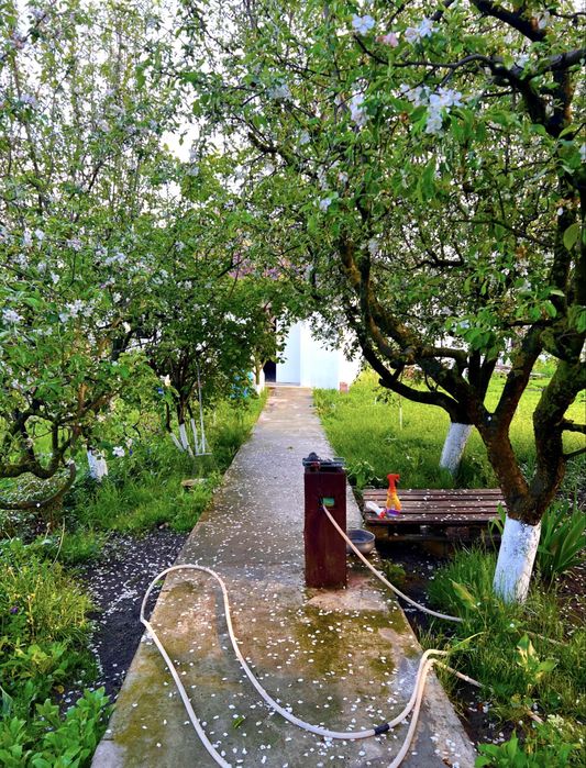 Casa+teren de vanzare in moara domneasca