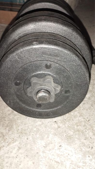 2 Gantere + aparat pentru abdomene vitalmaxx