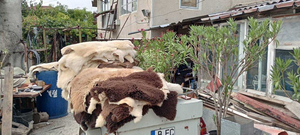 Обработена агнешка кожа за ценители /агнешки кожи/