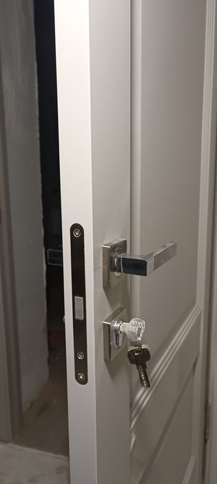 Профессиональные установка двери