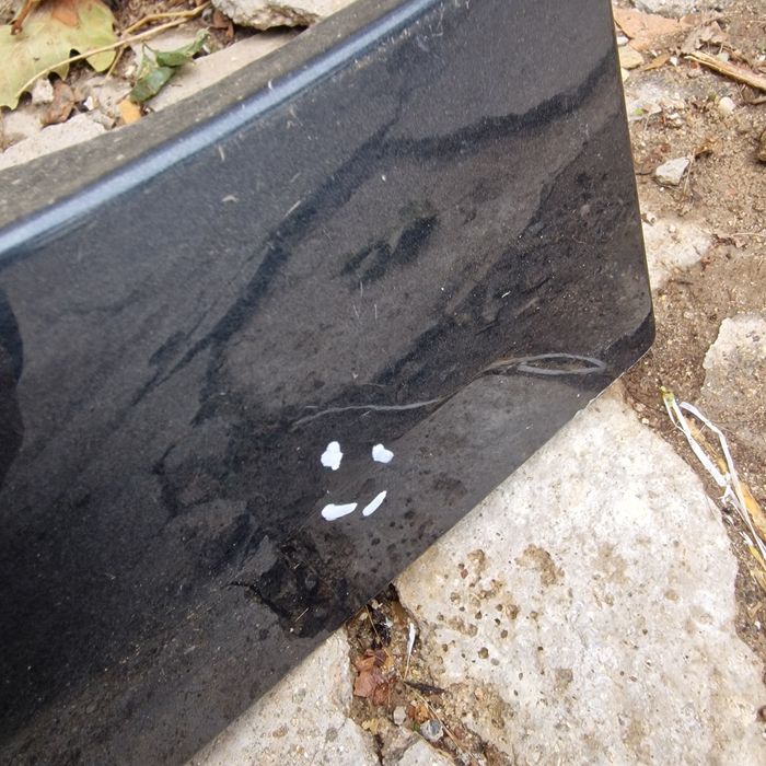 Seat Ibiza след 2017 десен калник