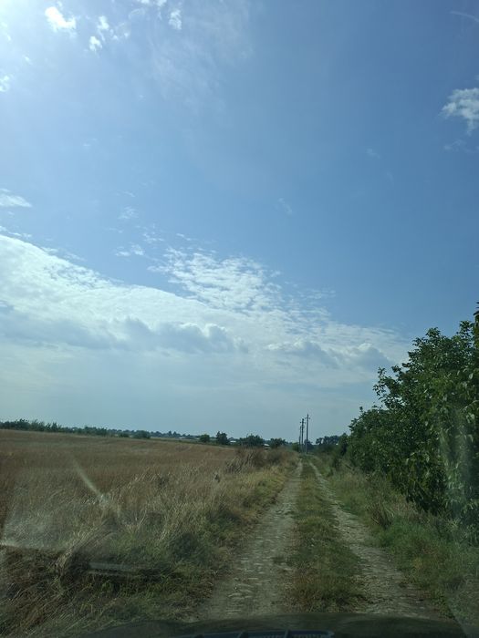 Teren de vanzare Manolache