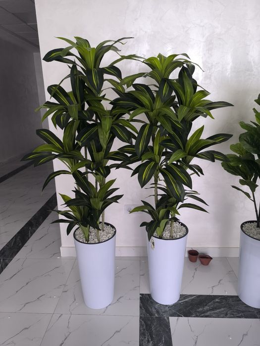 Искусственный цветы драсена