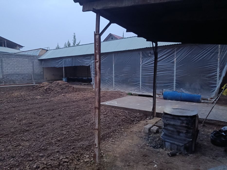 Yer sotiladi 5 Sotik Toshkent tumani