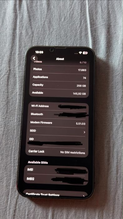 iPhone 13 pro max 256 GB