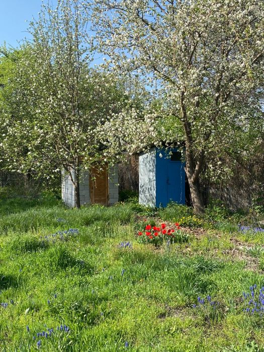 земельный участок